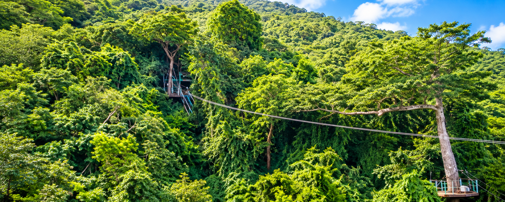 Zipline-Abenteuer im Regenwald von Antigua